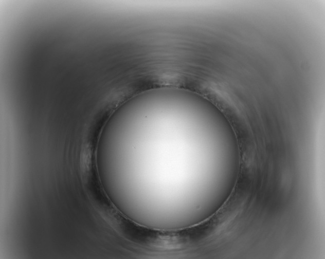 X0000089850744200707051115