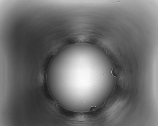 X0000089850746200707051115