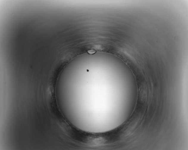 X0000089850747200707051115