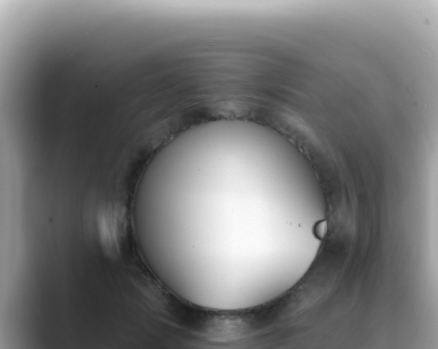 X0000089850749200707051115