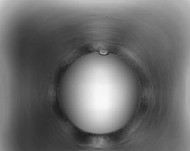 X0000089850751200707051115
