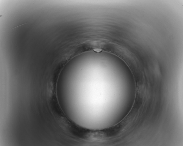X0000089850752200707051115