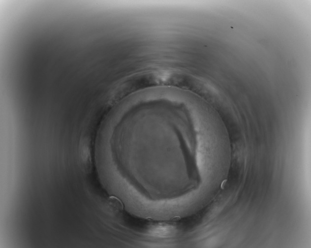 X0000089850754200707051115