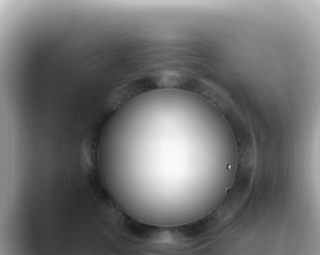 X0000089850755200707051115