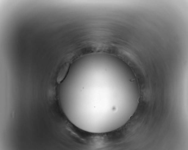 X0000089850756200707051115