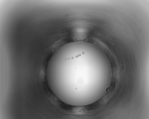 X0000089850761200707051115