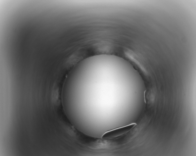 X0000089850764200707051115