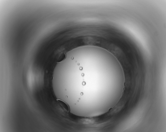 X0000089850765200707051115