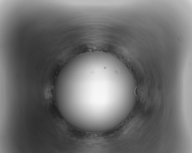 X0000089850770200707051114