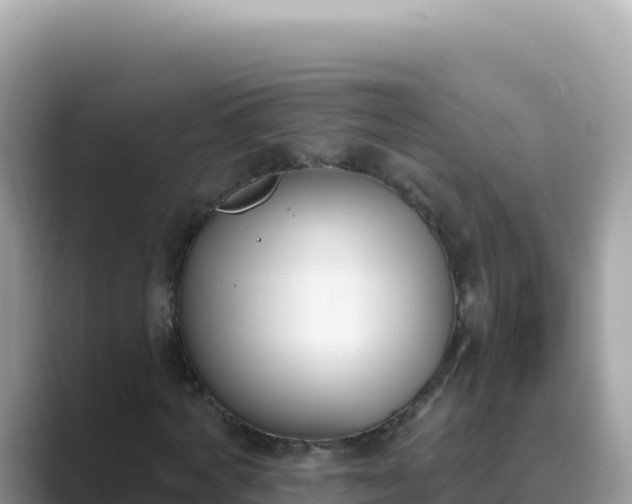 X0000089850772200707051114