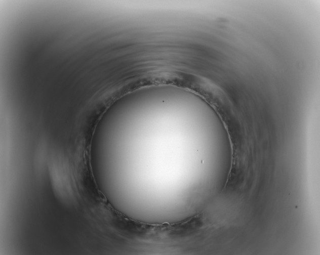X0000089850773200707051114