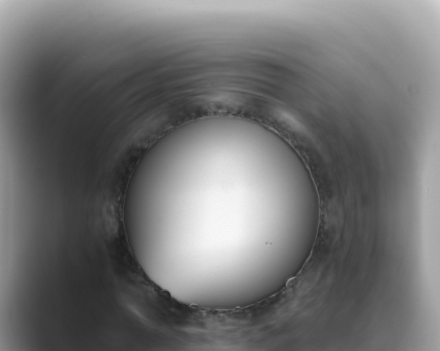 X0000089850774200707051114