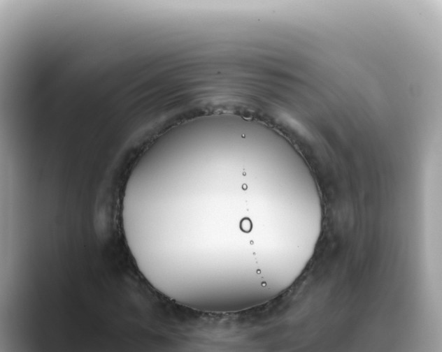 X0000089850775200707051114