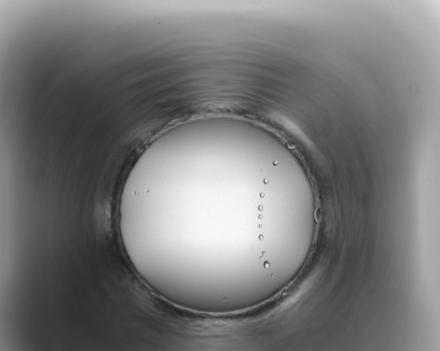 X0000089850777200707051114