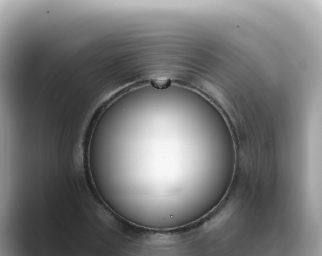 X0000089850779200707051114