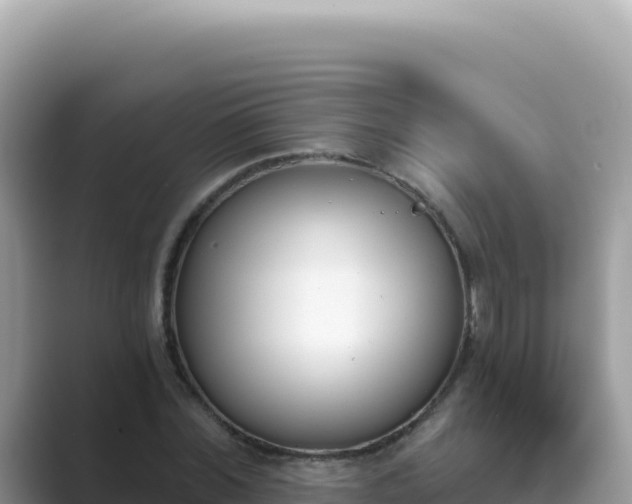 X0000089850780200707051114