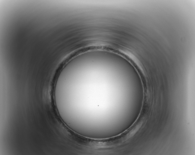 X0000089850783200707051114