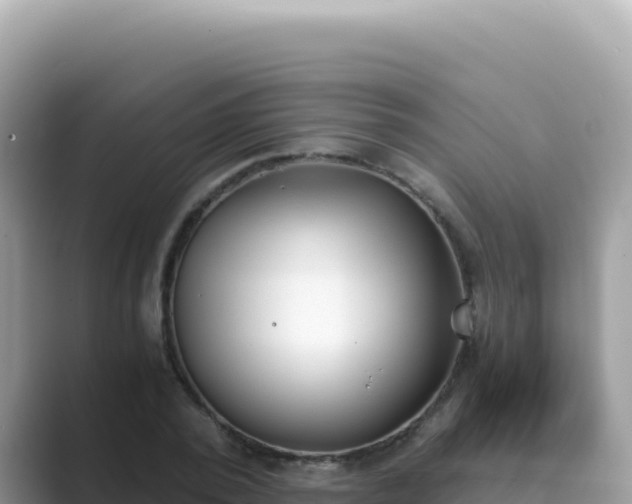 X0000089850784200707051114