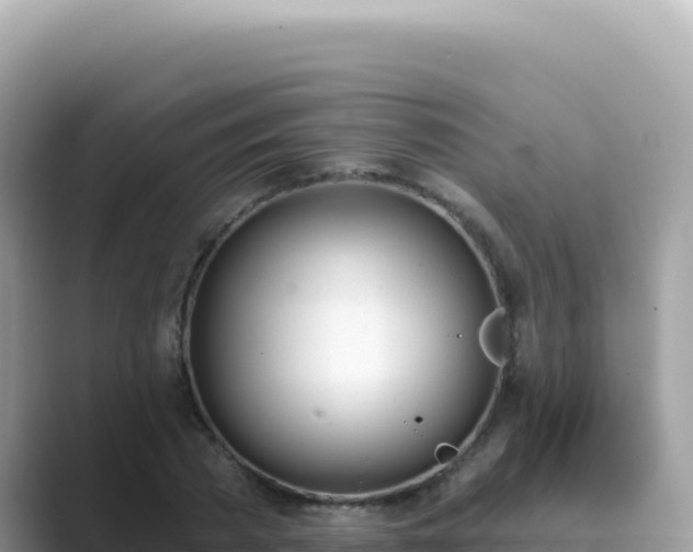 X0000089850785200707051114