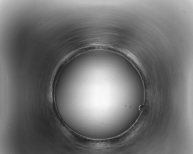 X0000089850791200707051114