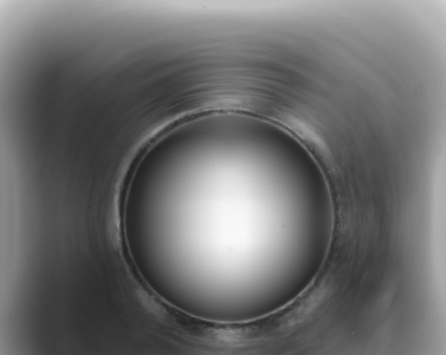 X0000089850792200707051114