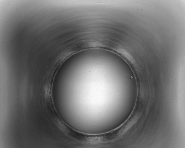 X0000089850793200707051114