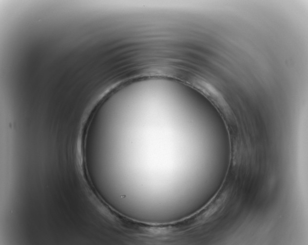 X0000089850796200707051114