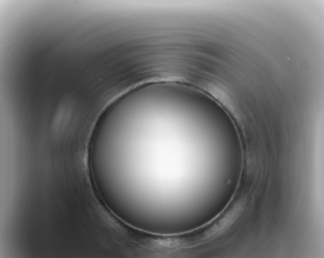 X0000089850797200707051114