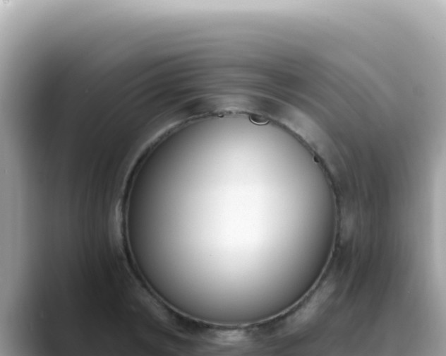 X0000089850798200707051114