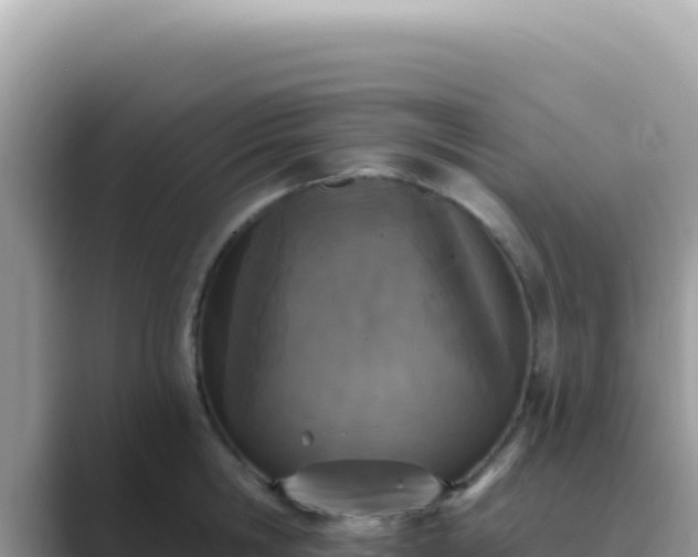 X0000089850806200707051114