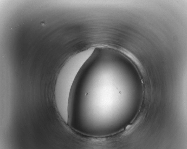 X0000089850809200707051114