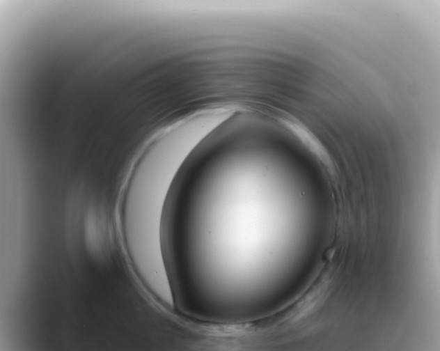 X0000089850813200707051114