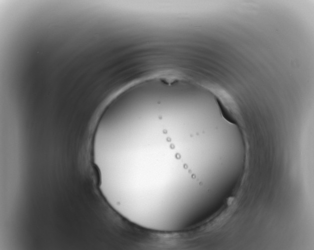 X0000089850816200707051114