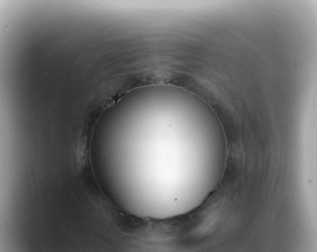 X0000089850818200707051113