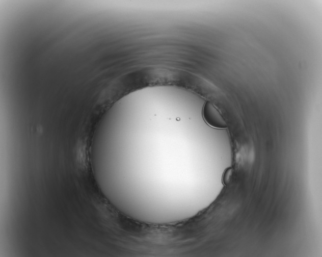 X0000089850819200707051113