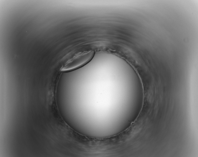 X0000089850821200707051113