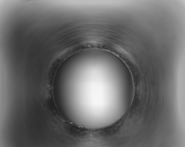 X0000089850822200707051113