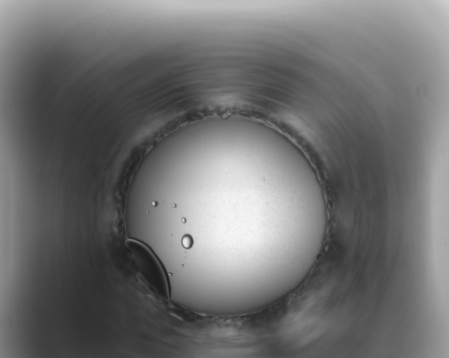 X0000089850823200707051113