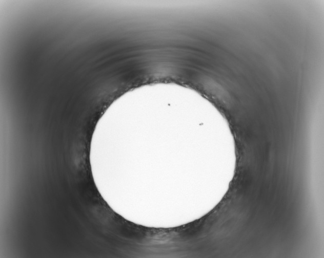 X0000089850824200707051113
