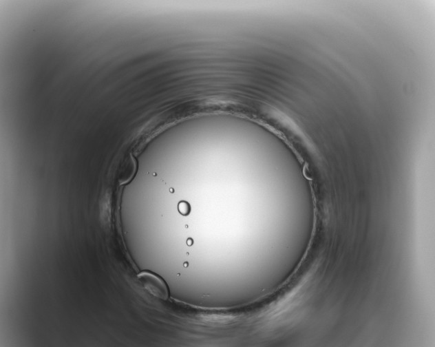 X0000089850825200707051113