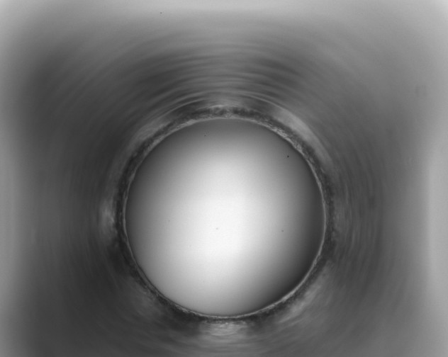 X0000089850826200707051113