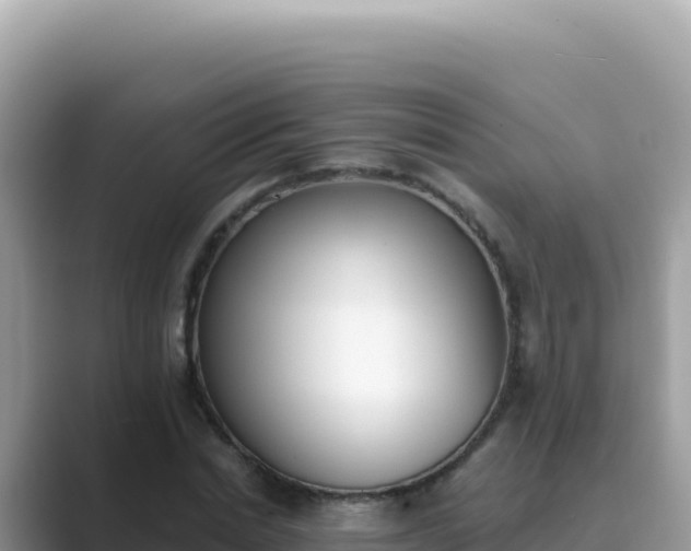 X0000089850830200707051113