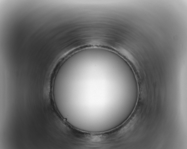 X0000089850831200707051113