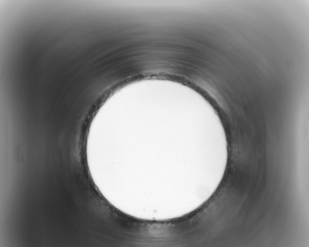 X0000089850832200707051113