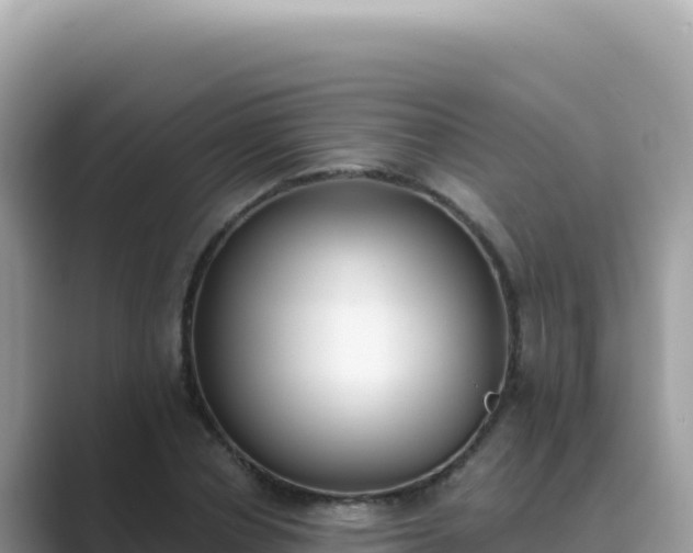 X0000089850834200707051113