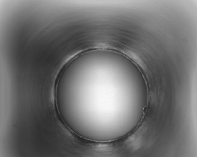 X0000089850839200707051113