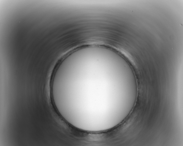 X0000089850840200707051113