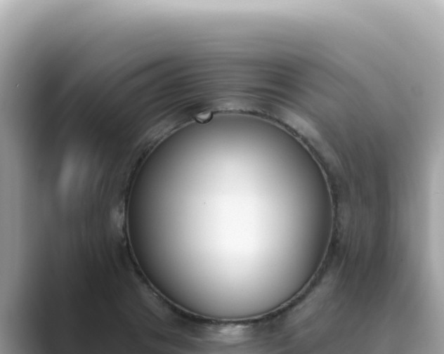 X0000089850841200707051113
