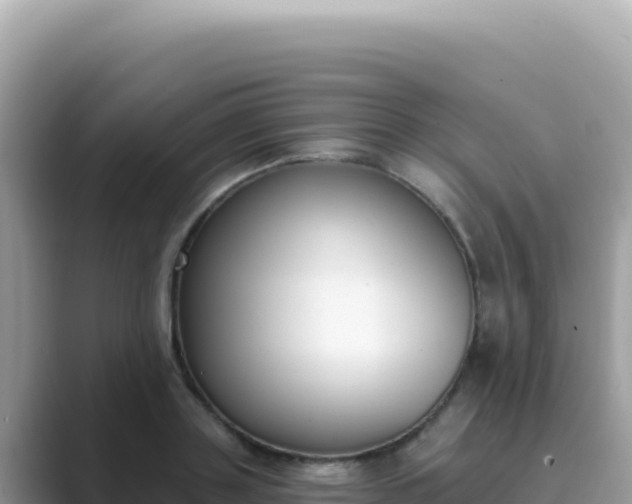 X0000089850843200707051113