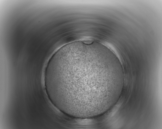 X0000089850851200707051114